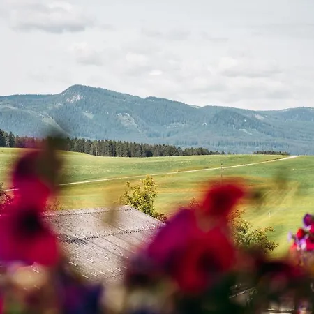 Wander- Und Wellnesshotel Kanzler 3*