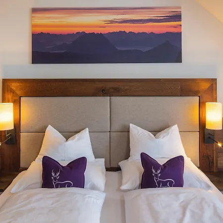 Wander- Und Wellnesshotel Kanzler Отель