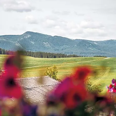 Hotel Wander- Und Wellnesshotel Kanzler Bad Mitterndorf