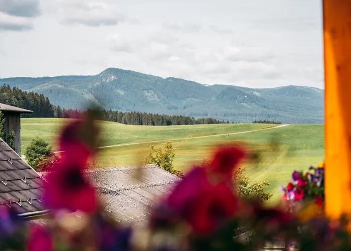 Wander- Und Wellnesshotel Kanzler 3*